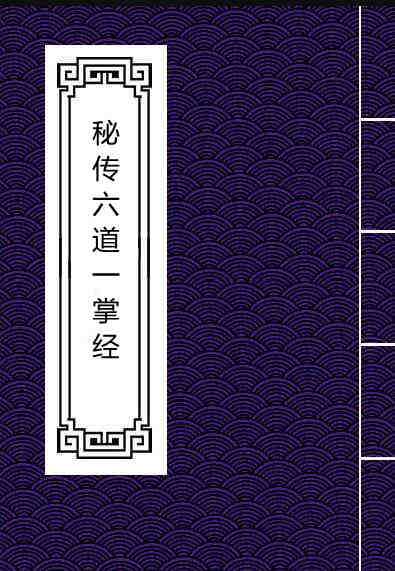 zb2100065 秘传六道一掌经.pdf