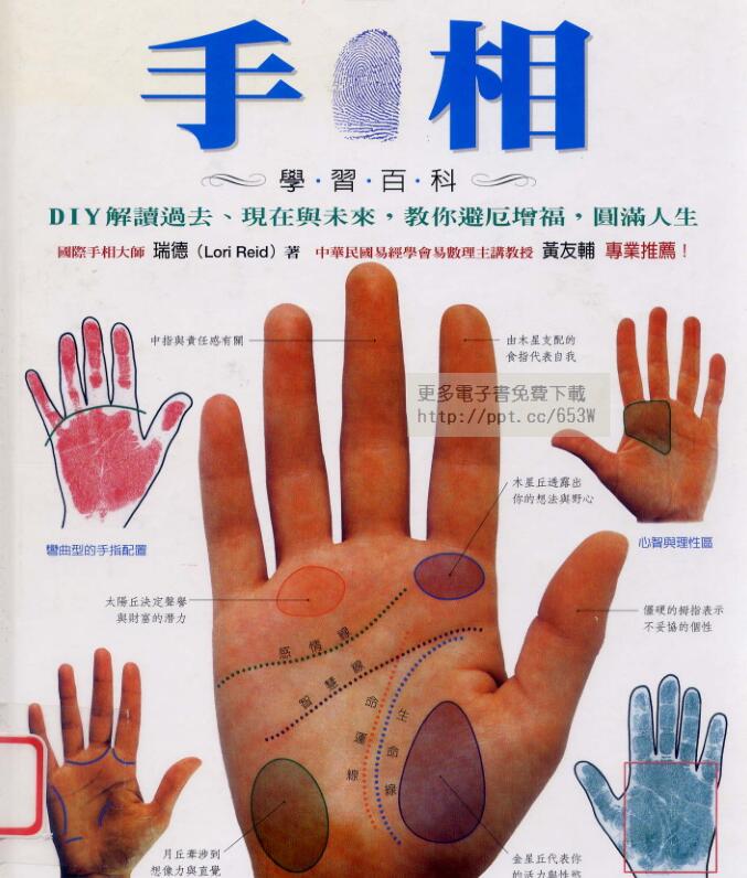 手相学习百科