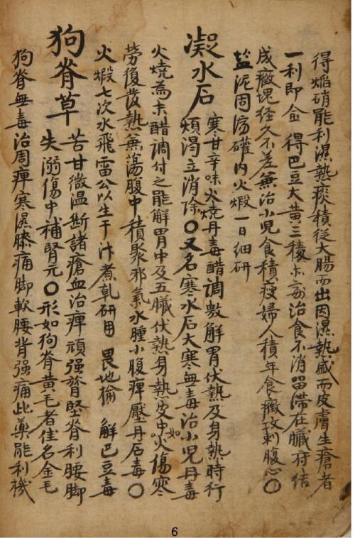 入门本草