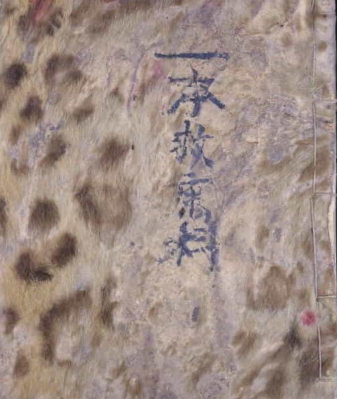 一本救患科-101页