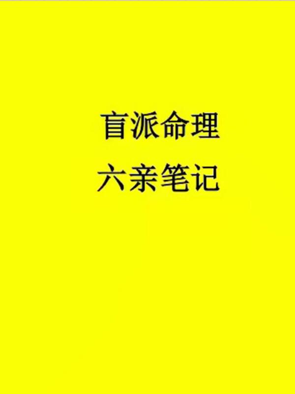 盲派命理六亲笔记