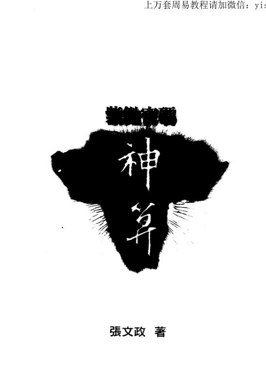 张文政：紫微密码神算PDF