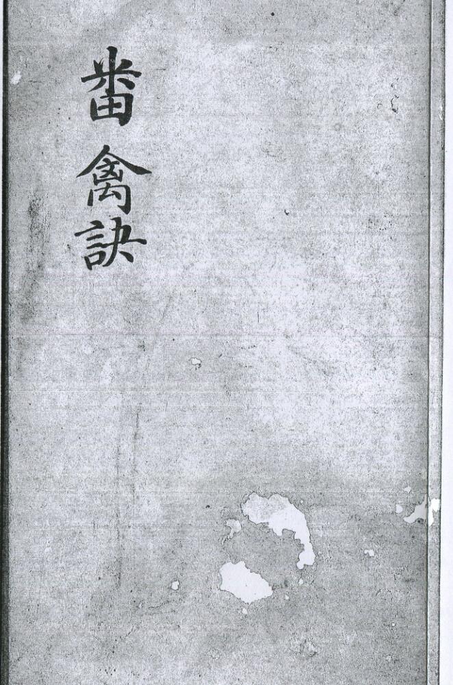 番禽訣.