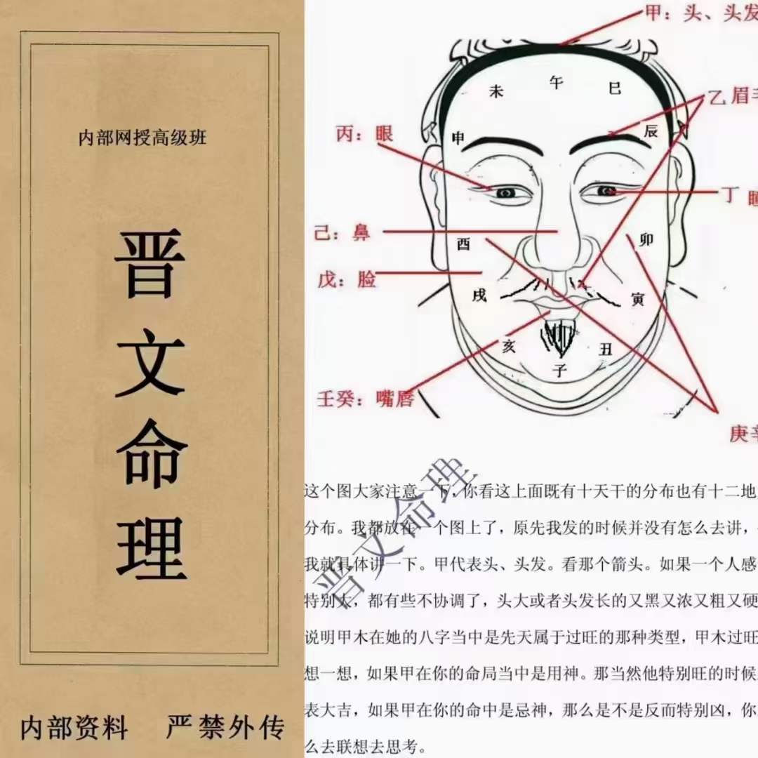 晋文八字命理内部网授班高级教学资料