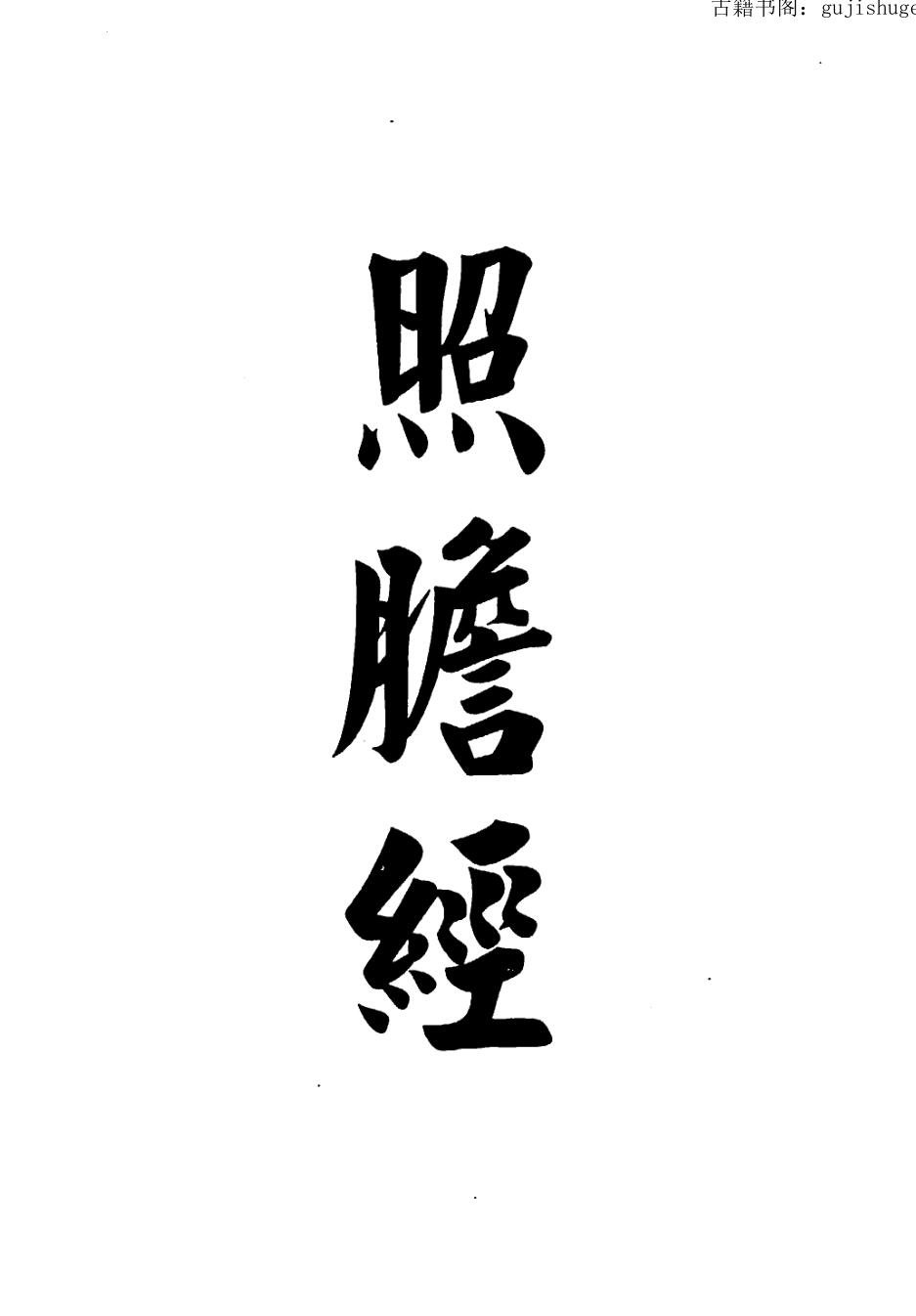 照胆经.pdf