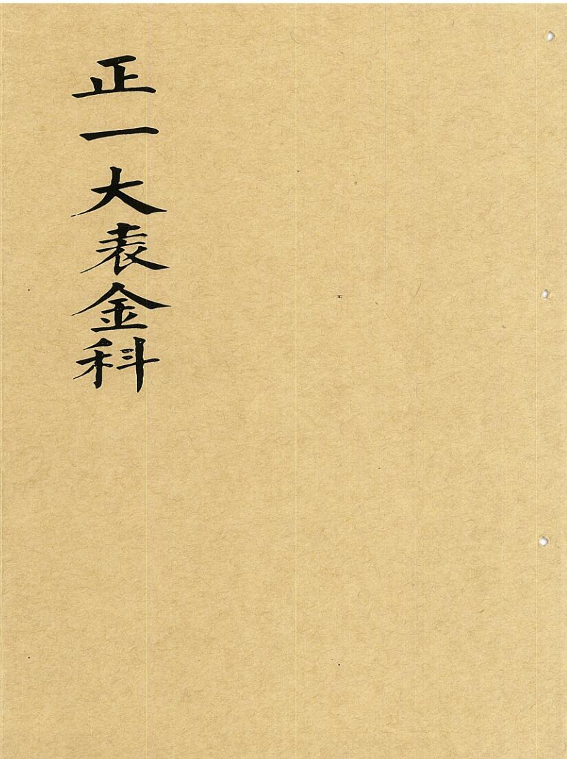 正一大表金科