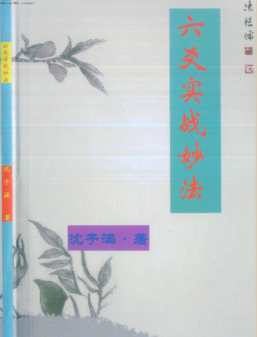 沈子涵《六爻实战妙法 》