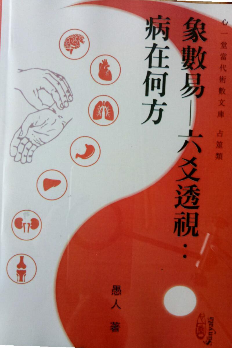 愚人著《象数易——六爻透视：病在何处》PDF
