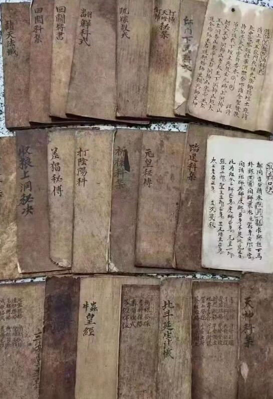 元皇23本