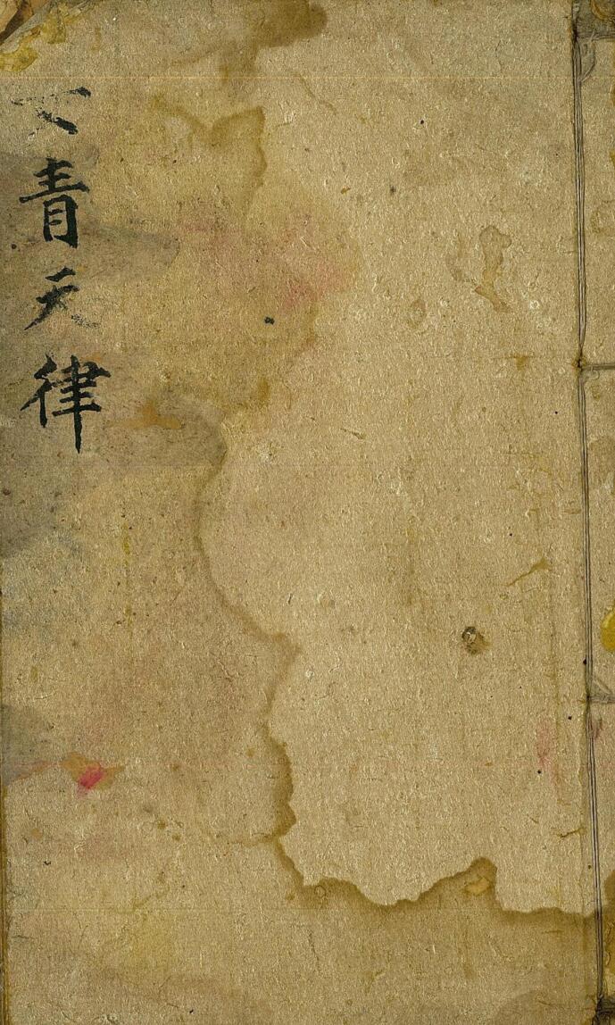 《女青天律》