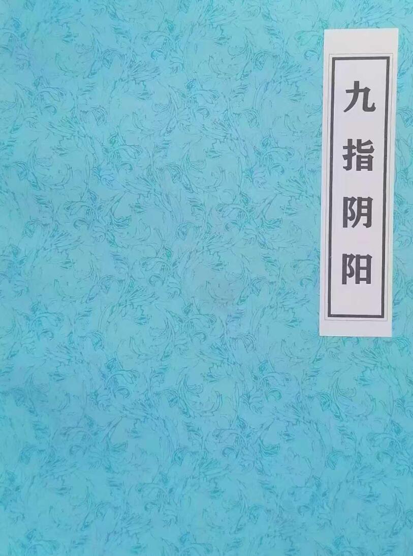 2025年九指阴阳