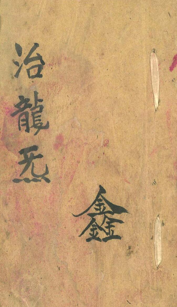 《治龙炁》