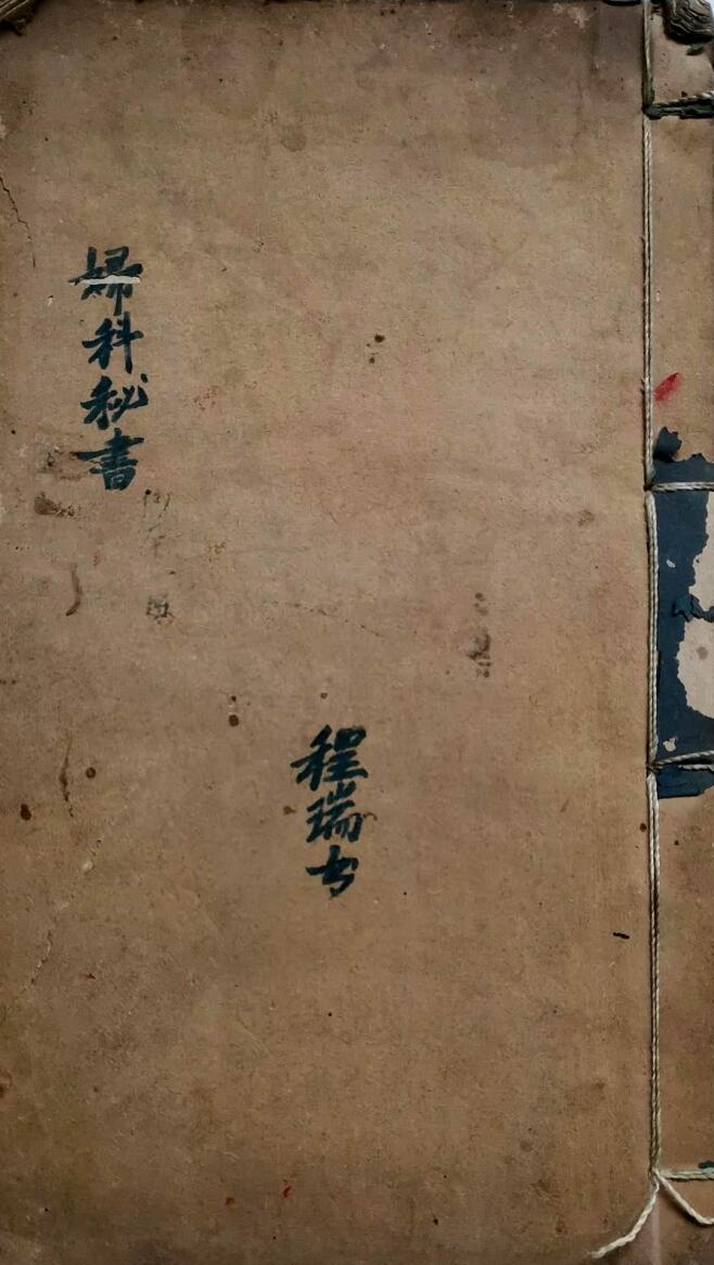 《妇科秘书》