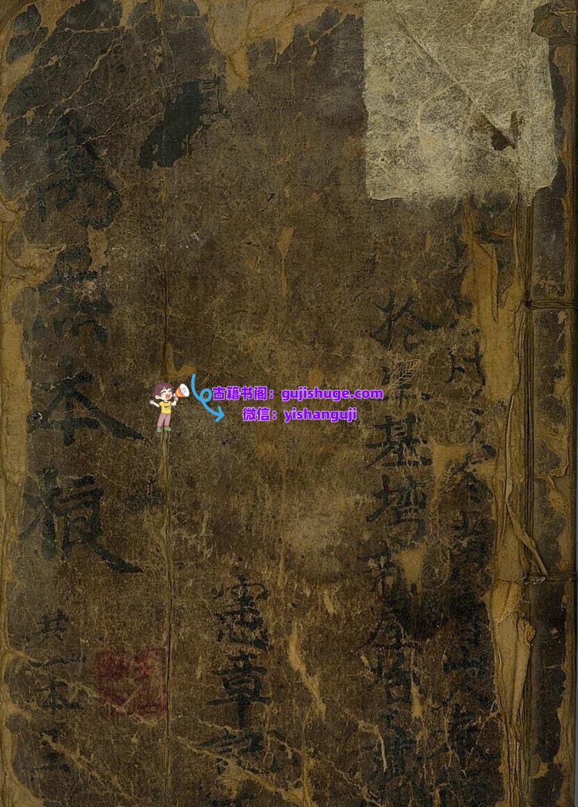 《万炁本根》