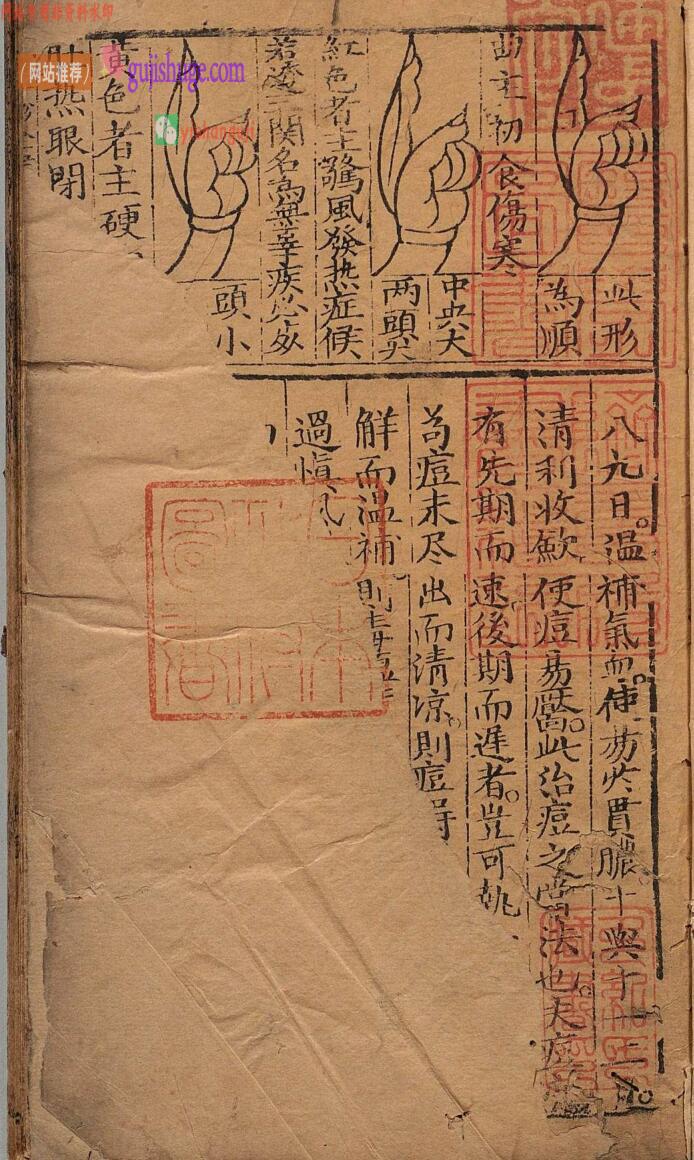 《痘疹全书》